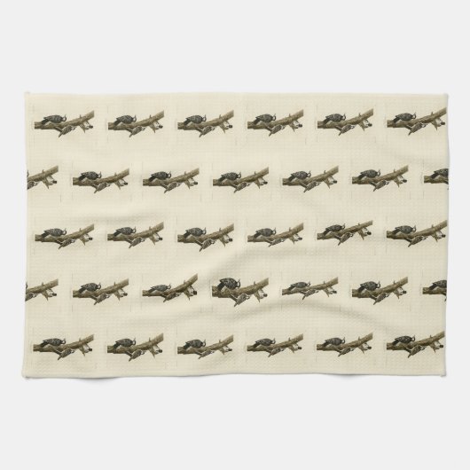 Red-Cockaded Woodpecker Audubon's Birds of America Theedoek (Horizontaal)