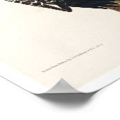 Red-Cockaded Woodpecker door het Poster van Audubo (Hoek)