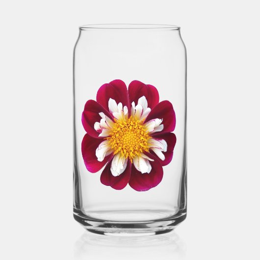 Red Collarette Dahlia Bloom Blikvorm Glas (Voorkant)