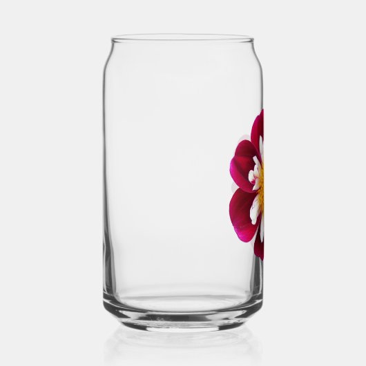 Red Collarette Dahlia Bloom Blikvorm Glas (Rechts)