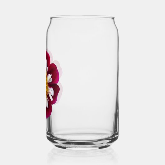 Red Collarette Dahlia Bloom Blikvorm Glas (Links)
