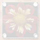 Red Collarette Dahlia op Black Floral Glazen Onderzetter (Achterkant)