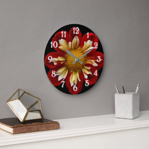 Red Collarette Dahlia op Black Floral Grote Klok