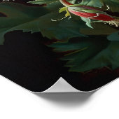 Red Columbine Flowers Art Print Poster (Hoek)