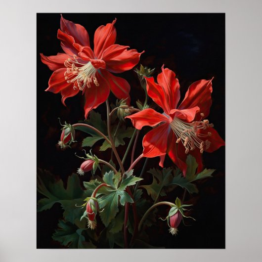 Red Columbine Flowers Art Print Poster (Voorkant)