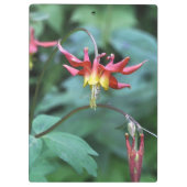 Red Columbine Klembord (Achterkant)