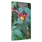 Red Columbine Klembord (Rechts)