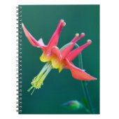 Red Columbine Notitieboek (Voorkant)