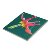 Red Columbine Tegeltje (Zijkant)