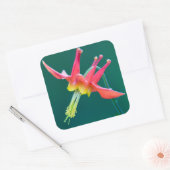 Red Columbine Vierkante Sticker (Envelop)