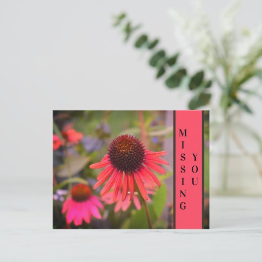 Red Cone Bloemen Echinacea Mist U Briefkaart (Staand voorkant)