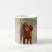 Red Coonhound Koffiemok (Center)