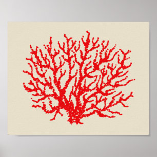 Red Coral Beach Wall Art Poster Afdrukdecor