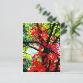 Red Creeper 2.jpg Briefkaart (Staand voorkant)