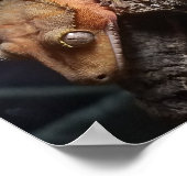 Red Crested Gecko Poster (Hoek)