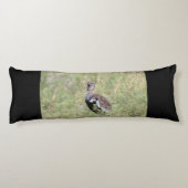 Red Crested Korhaan Lichaamskussen (Achterkant)