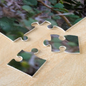 Red Crimson Rosella Bird Eating, 1014 stuks Legpuzzel (Zijkant)