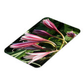 Red Crinum Lily Magneet (Linkerzijde)