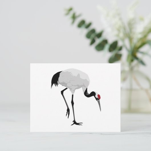 Red-Crowned Crane (alias Red-Crowned Crane) Japans Briefkaart (Staand voorkant)