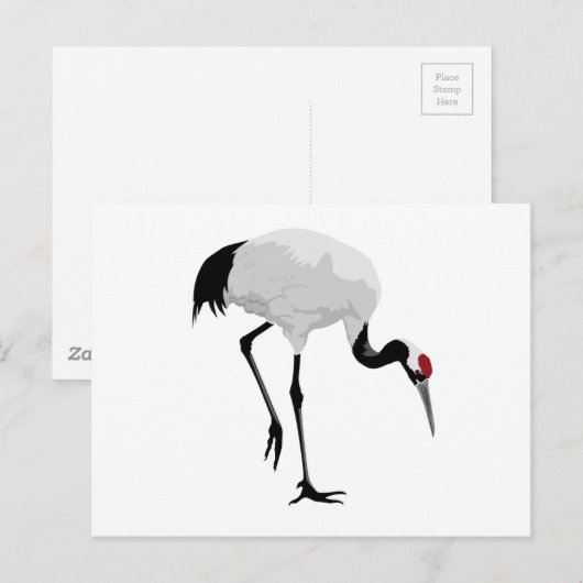 Red-Crowned Crane (alias Red-Crowned Crane) Japans Briefkaart (Voorkant / Achterkant)