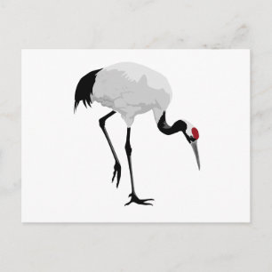 Red-Crowned Crane (alias Red-Crowned Crane) Japans Briefkaart