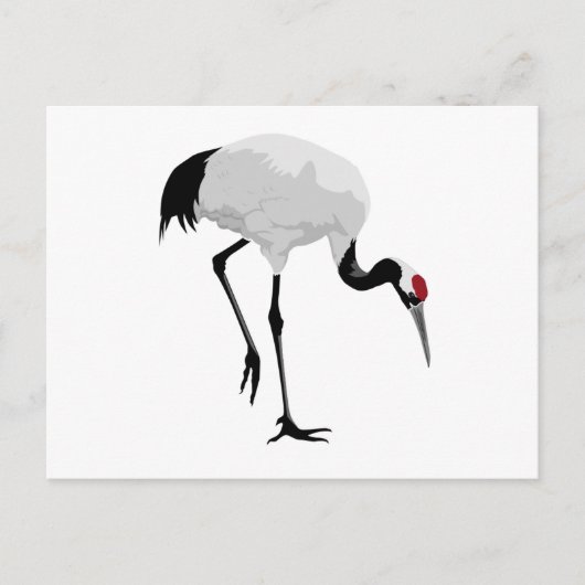 Red-Crowned Crane (alias Red-Crowned Crane) Japans Briefkaart (Voorkant)