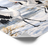 Red-crowned Cranes Dancing in Winter –  Poster (Hoek)