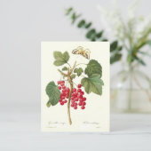 Red Currant Briefkaart (Staand voorkant)