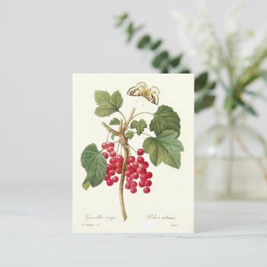 Red Currant Briefkaart (Staand voorkant)