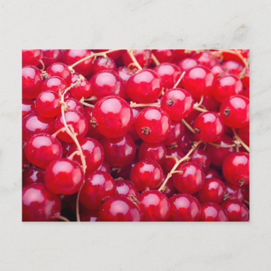 Red Currant Briefkaart (Voorkant)