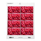 Red Currant Etiket (Full Sheet)