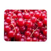 Red Currant Magneet (Horizontaal)
