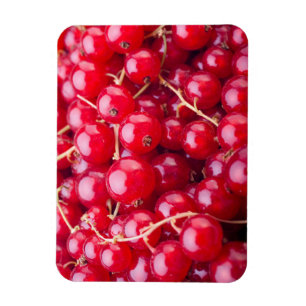 Red Currant Magneet