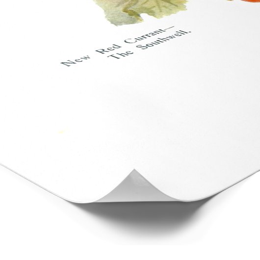 Red Currant "The Southwell" Poster (Hoek)