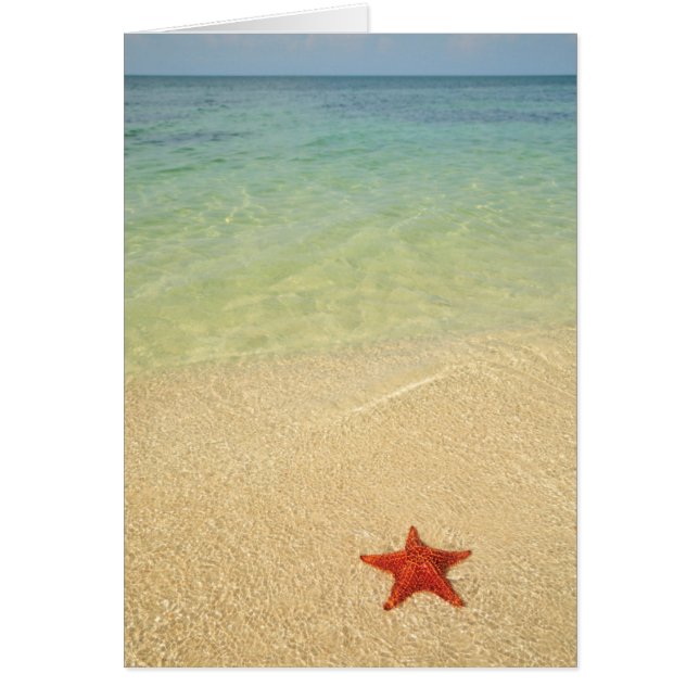 Red Cushion Zee Star | Trinidad, Cuba (Voorkant)
