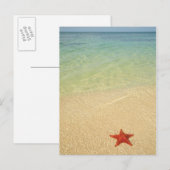 Red Cushion Zee Star | Trinidad, Cuba Briefkaart (Voorkant / Achterkant)