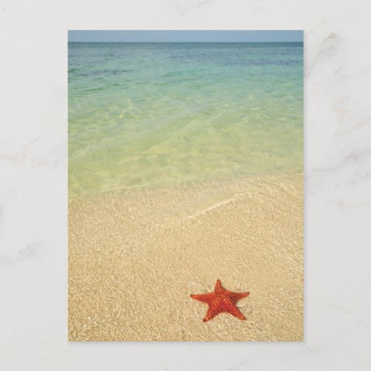 Red Cushion Zee Star | Trinidad, Cuba Briefkaart (Voorkant)