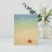 Red Cushion Zee Star | Trinidad, Cuba Briefkaart (Staand voorkant)