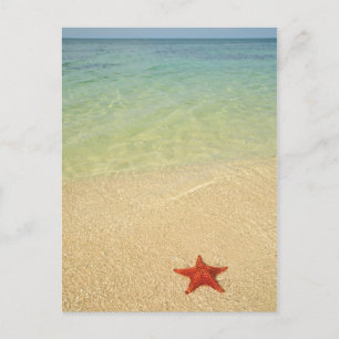 Red Cushion Zee Star   Trinidad, Cuba Briefkaart