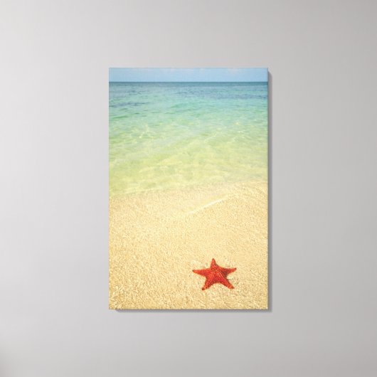 Red Cushion Zee Star | Trinidad, Cuba Canvas Afdruk (Voorkant)