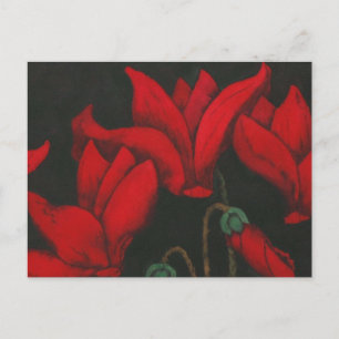Red Cyclamen bloeit op een donkere zwarte achtergr Briefkaart