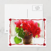 Red Cyclamen Flowers Briefkaart (Voorkant / Achterkant)