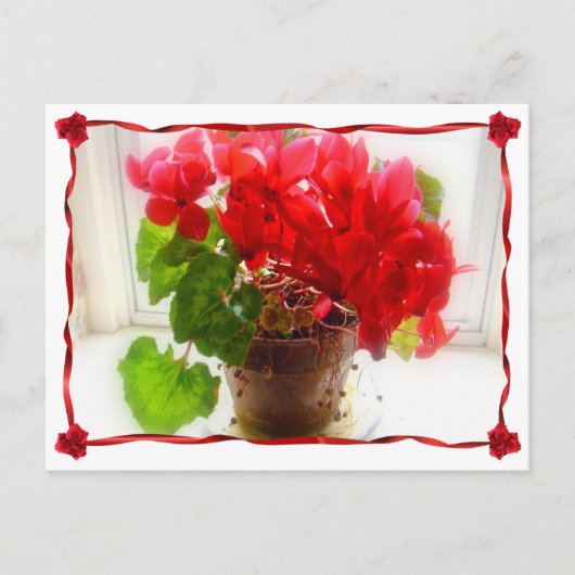 Red Cyclamen Flowers Briefkaart (Voorkant)