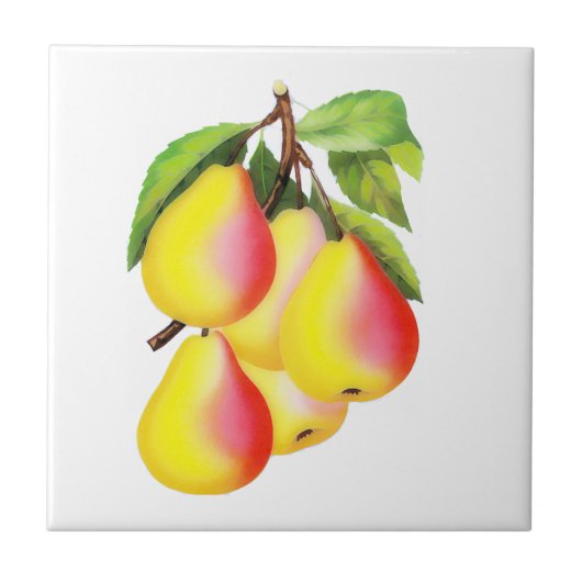 Red D’Anjou Pears —  illustratie Tegeltje (Voorkant)