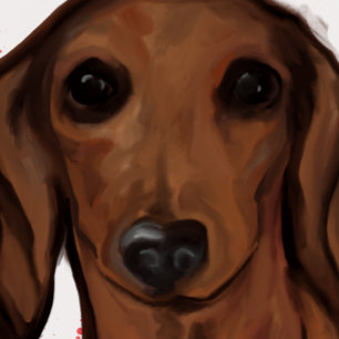 RED DACHSHUND BRIEFKAART