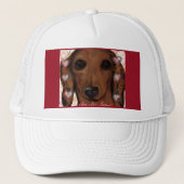 RED DACHSHUND TRUCKER PET (Voorkant)