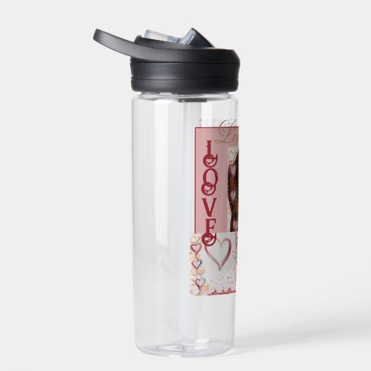 Red Dachshund Waterfles (Rechts)