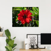 Red Dahlia (bisschop van Llandaff) II Poster (Thuiskantoor)