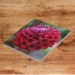 Red Dahlia Bloom Floral Ceramic Tegel Tegeltje<br><div class="desc">Keramische tegel die het foto-afbeelding van een rode Dahlia bloom kenmerkt. Een mooi,  bloemetjesontwerp! Selecteer de grootte van uw tegel. Maakt een geweldige keukentochtje!</div>