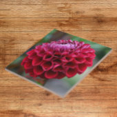 Red Dahlia Bloom Floral Ceramic Tegel Tegeltje